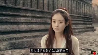 成人免费高清视频在线观看