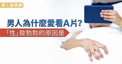 男男成人高潮片免费在线观看
